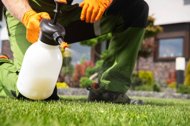 Best Best Pest Control Companies  in Hayward, WI